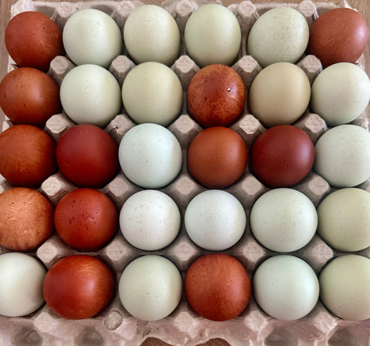 Heirloom Chicken Eggs 30 count