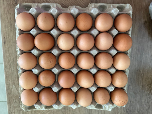 Pasture Chicken Eggs 30 count